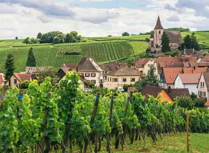 Wine village and vineyards on the Burgundy wine trail